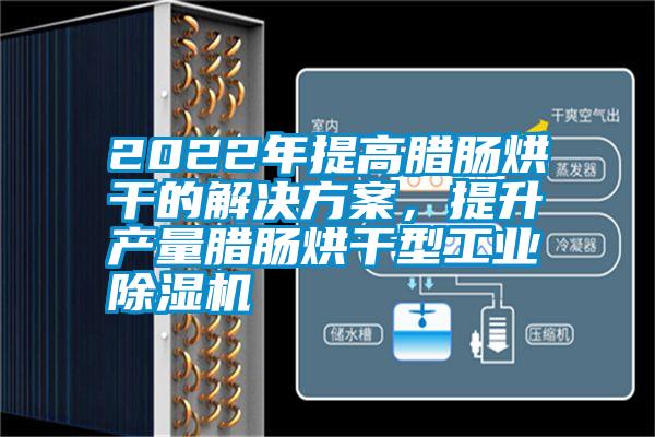 2022年提高臘腸烘干的解決方案，提升產(chǎn)量臘腸烘干型工業(yè)除濕機(jī)