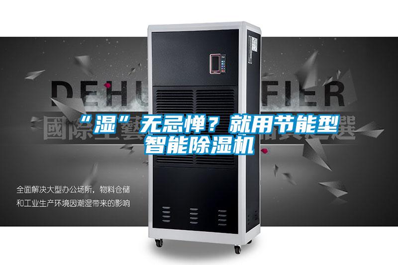 “濕”無忌憚？就用節(jié)能型智能除濕機