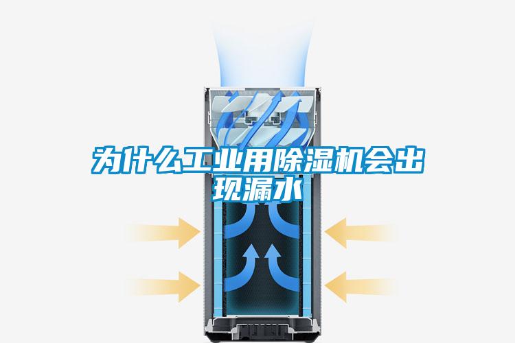 為什么工業(yè)用除濕機(jī)會(huì)出現(xiàn)漏水