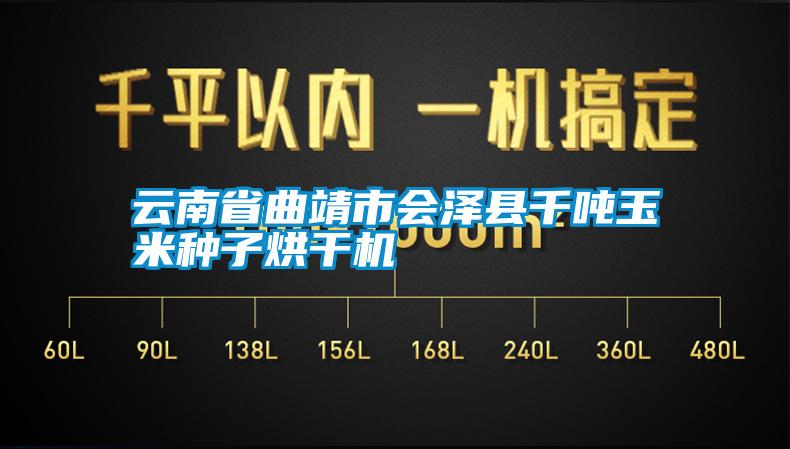 云南省曲靖市會澤縣千噸玉米種子烘干機(jī)