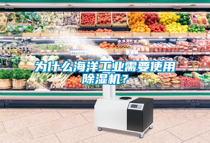 為什么海洋工業(yè)需要使用除濕機？