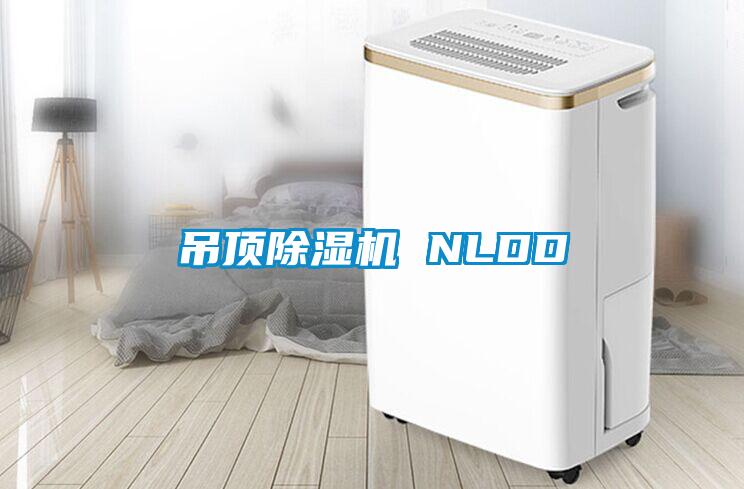 吊頂除濕機 NLDD