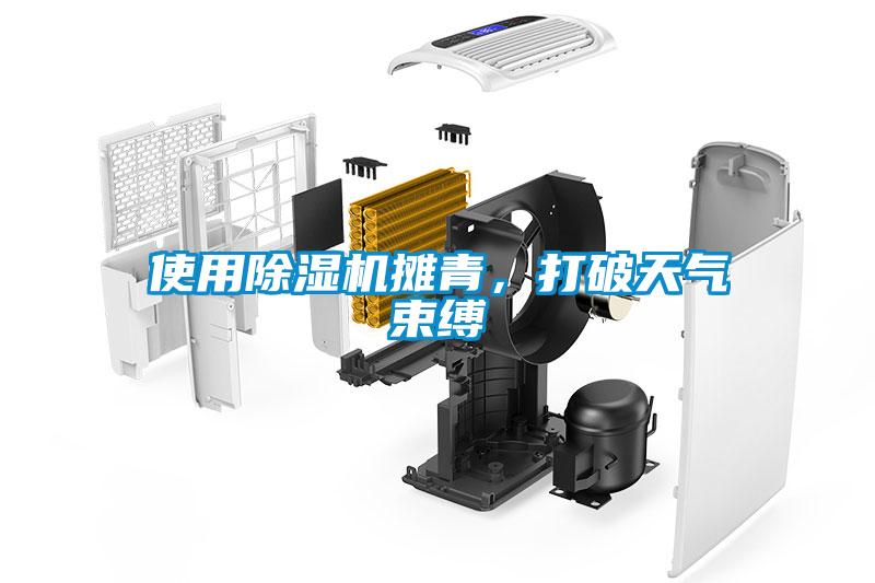 使用除濕機(jī)攤青，打破天氣束縛