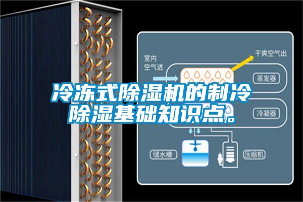 冷凍式除濕機(jī)的制冷除濕基礎(chǔ)知識點(diǎn)。