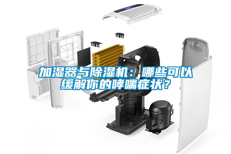 加濕器與除濕機(jī)：哪些可以緩解你的哮喘癥狀？