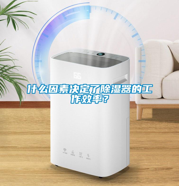 什么因素決定了除濕器的工作效率？