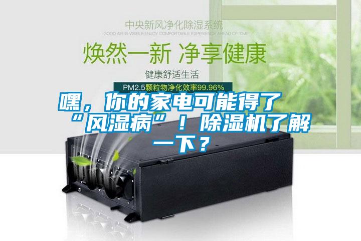 嘿，你的家電可能得了“風(fēng)濕病”！除濕機了解一下？