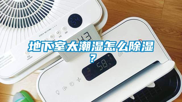 地下室太潮濕怎么除濕？