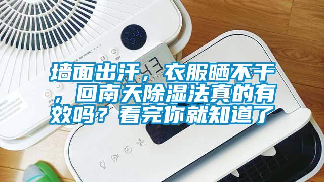 墻面出汗，衣服曬不干，回南天除濕法真的有效嗎？看完你就知道了