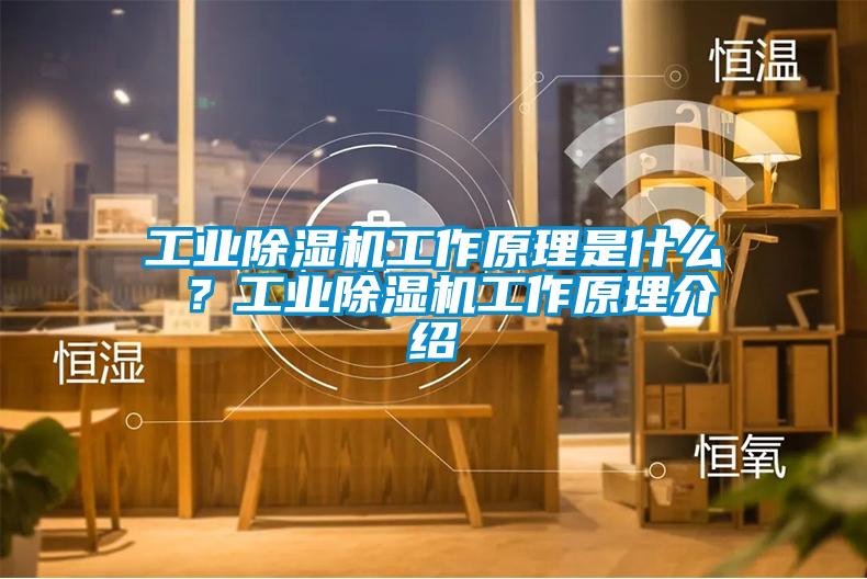 工業(yè)除濕機工作原理是什么 ？工業(yè)除濕機工作原理介紹