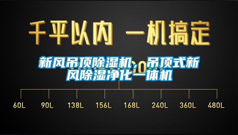 新風吊頂除濕機，吊頂式新風除濕凈化一體機