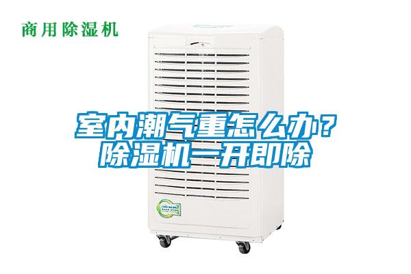 室內(nèi)潮氣重怎么辦？除濕機(jī)一開即除