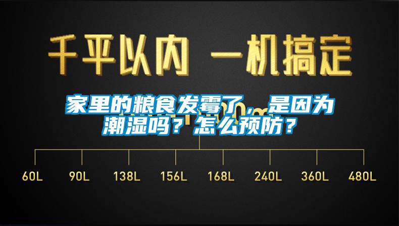 家里的糧食發(fā)霉了，是因?yàn)槌睗駟?？怎么預(yù)防？