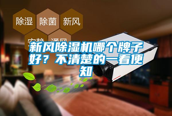 新風除濕機哪個牌子好？不清楚的一看便知