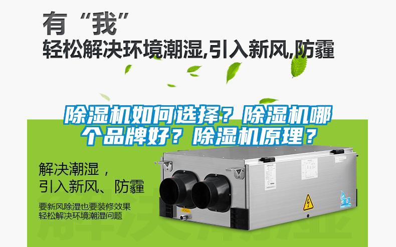 除濕機如何選擇？除濕機哪個品牌好？除濕機原理？