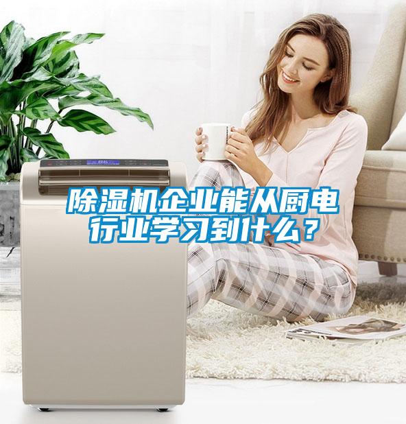 除濕機(jī)企業(yè)能從廚電行業(yè)學(xué)習(xí)到什么？