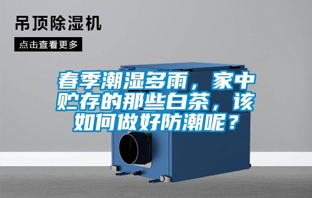 春季潮濕多雨，家中貯存的那些白茶，該如何做好防潮呢？