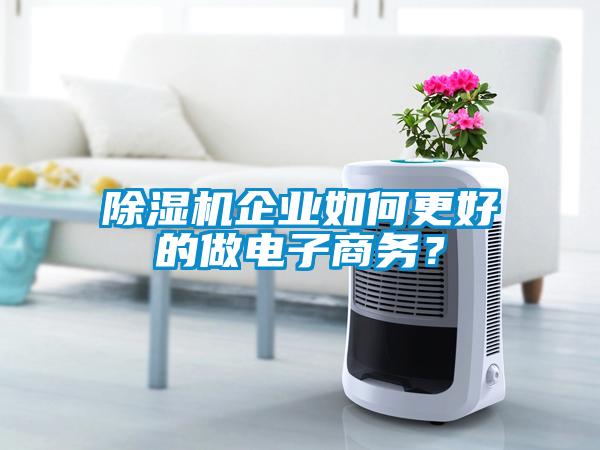 除濕機(jī)企業(yè)如何更好的做電子商務(wù)？