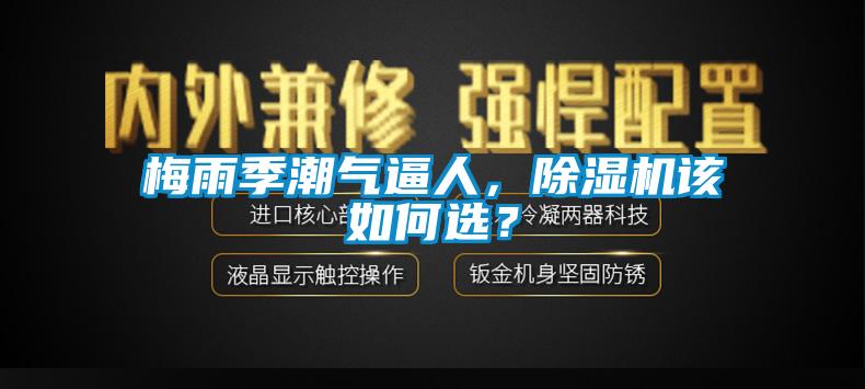 梅雨季潮氣逼人，除濕機(jī)該如何選？