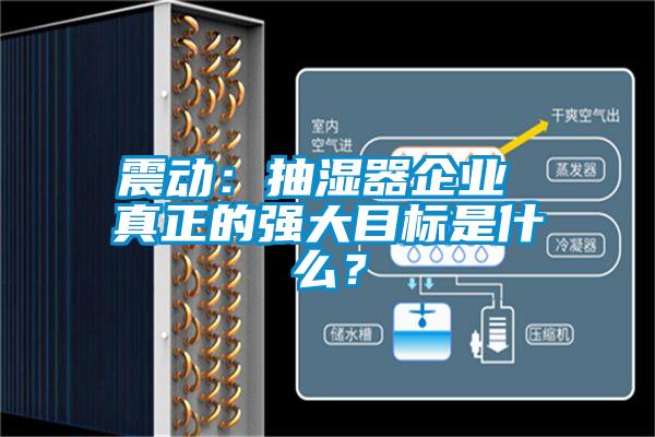 震動：抽濕器企業(yè) 真正的強大目標是什么？