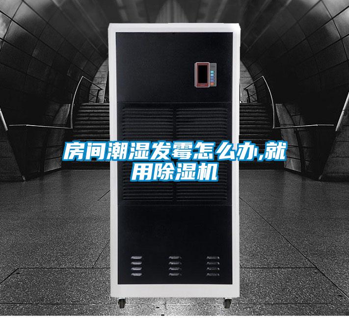 房間潮濕發(fā)霉怎么辦,就用除濕機