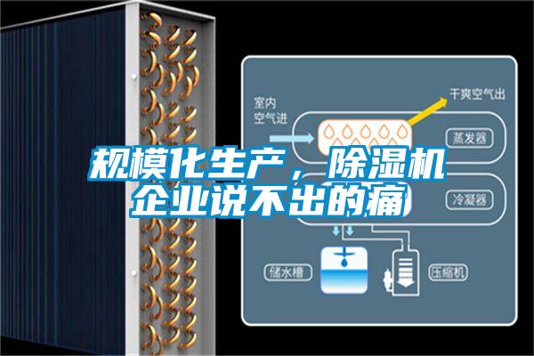 規(guī)模化生產(chǎn)，除濕機(jī)企業(yè)說不出的痛