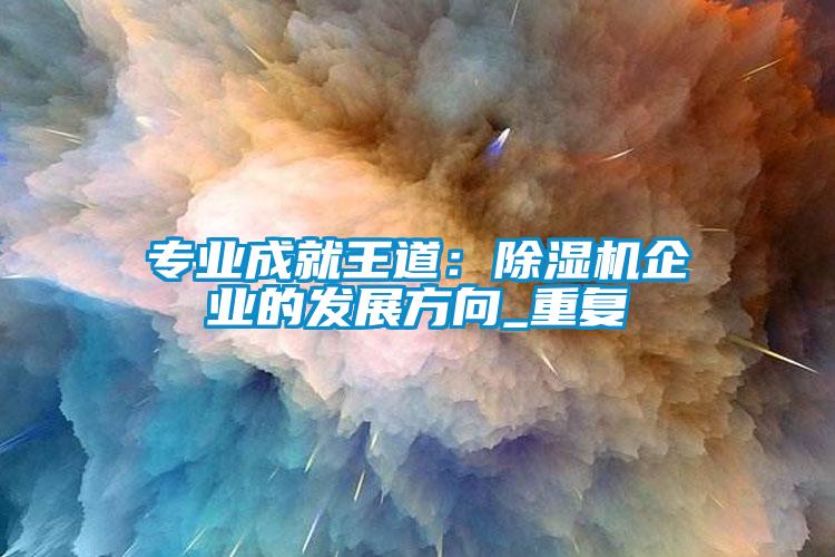 專業(yè)成就王道：除濕機企業(yè)的發(fā)展方向_重復