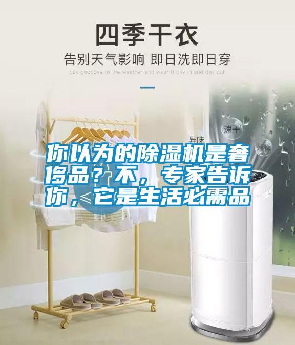 你以為的除濕機(jī)是奢侈品？不，專家告訴你，它是生活必需品