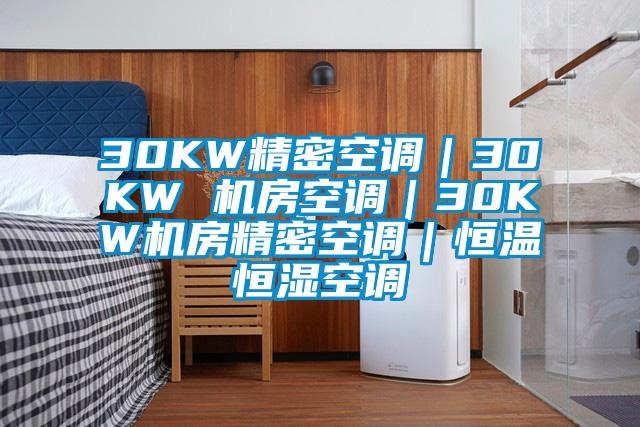 30KW精密空調(diào)｜30KW 機房空調(diào)｜30KW機房精密空調(diào)｜恒溫恒濕空調(diào)