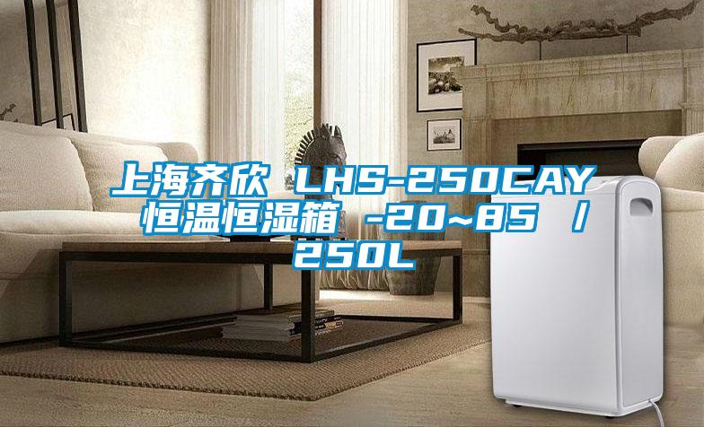 上海齊欣 LHS-250CAY 恒溫恒濕箱 -20~85℃／250L