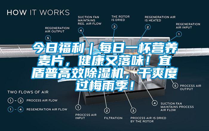 今日福利｜每日一杯營養(yǎng)麥片，健康又落味！宜盾普高效除濕機(jī)，干爽度過梅雨季！