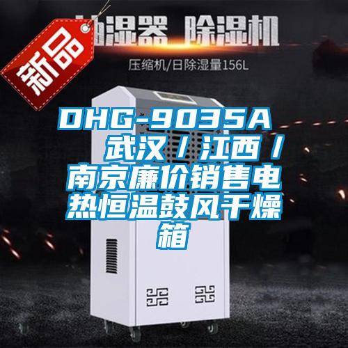 DHG-9035A   武漢／江西／南京廉價銷售電熱恒溫鼓風(fēng)干燥箱