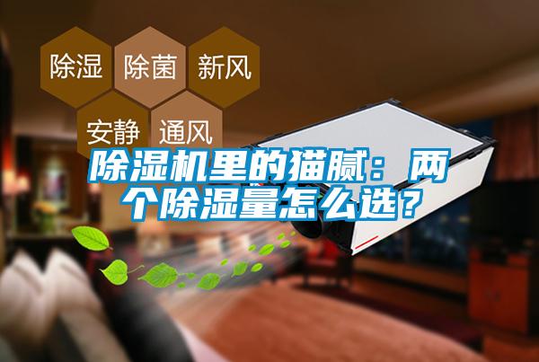 除濕機里的貓膩：兩個除濕量怎么選？