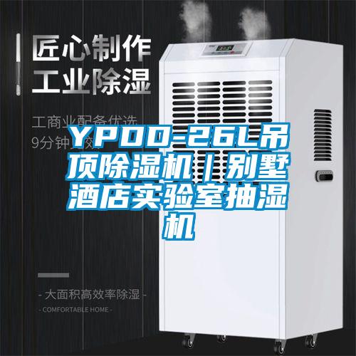 YPDD-26L吊頂除濕機(jī)｜別墅酒店實驗室抽濕機(jī)