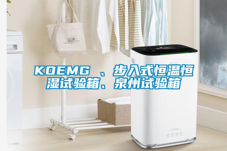 KOEMG 、步入式恒溫恒濕試驗(yàn)箱、泉州試驗(yàn)箱