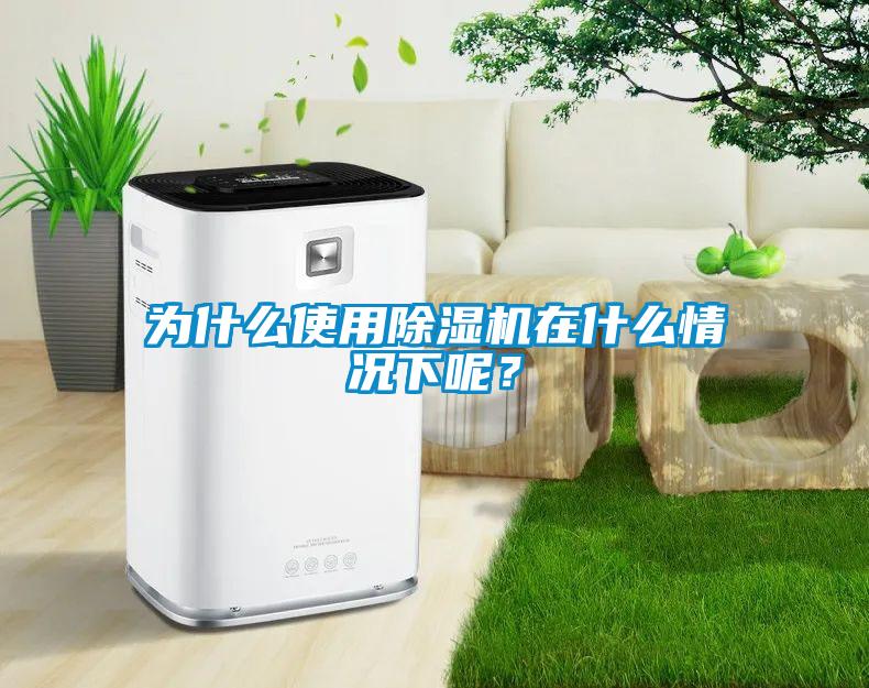 為什么使用除濕機(jī)在什么情況下呢？