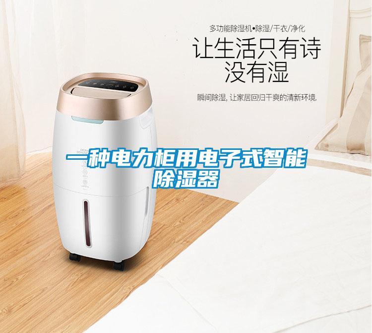 一種電力柜用電子式智能除濕器