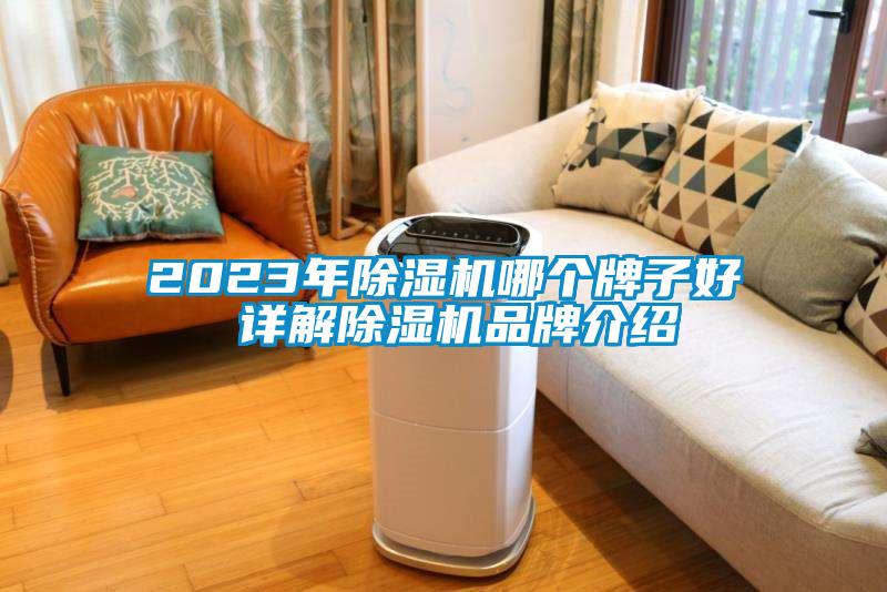 2023年除濕機(jī)哪個牌子好 詳解除濕機(jī)品牌介紹