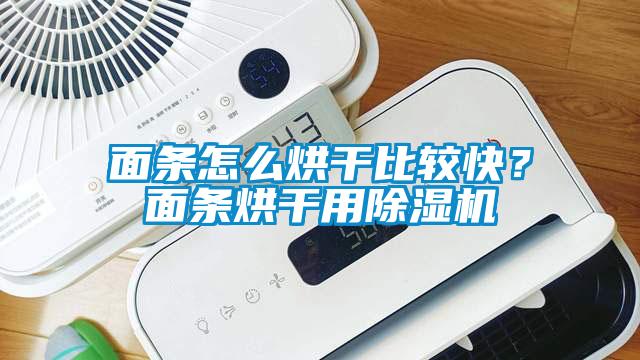 面條怎么烘干比較快？面條烘干用除濕機(jī)