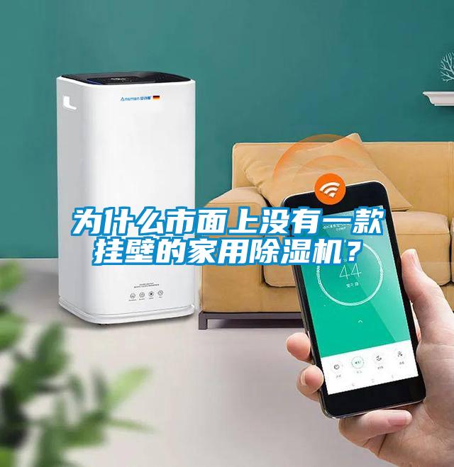 為什么市面上沒有一款掛壁的家用除濕機？