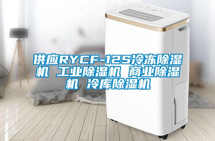 供應(yīng)RYCF-12S冷凍除濕機(jī) 工業(yè)除濕機(jī) 商業(yè)除濕機(jī) 冷庫除濕機(jī)