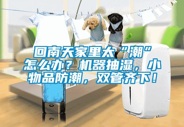 回南天家里太“潮”怎么辦？機器抽濕，小物品防潮，雙管齊下！