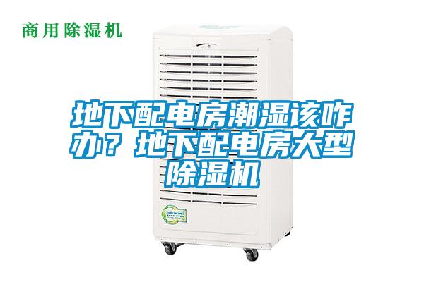 地下配電房潮濕該咋辦？地下配電房大型除濕機(jī)