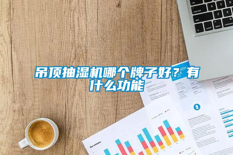 吊頂抽濕機哪個牌子好？有什么功能