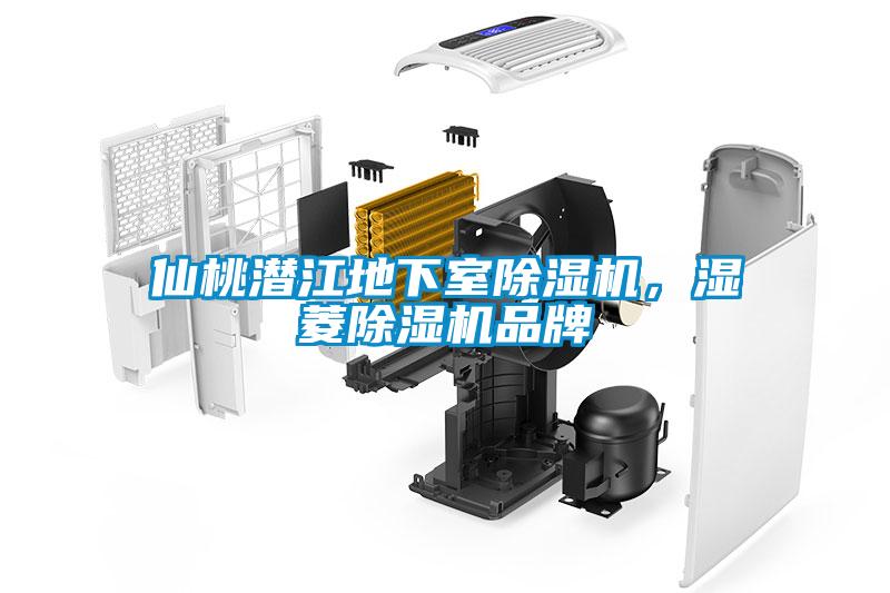 仙桃潛江地下室除濕機(jī)，濕菱除濕機(jī)品牌