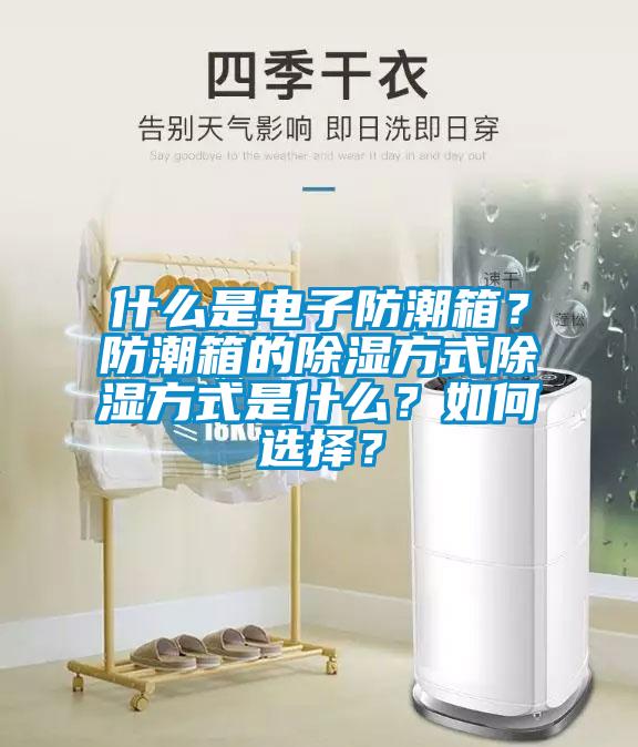 什么是電子防潮箱？防潮箱的除濕方式除濕方式是什么？如何選擇？