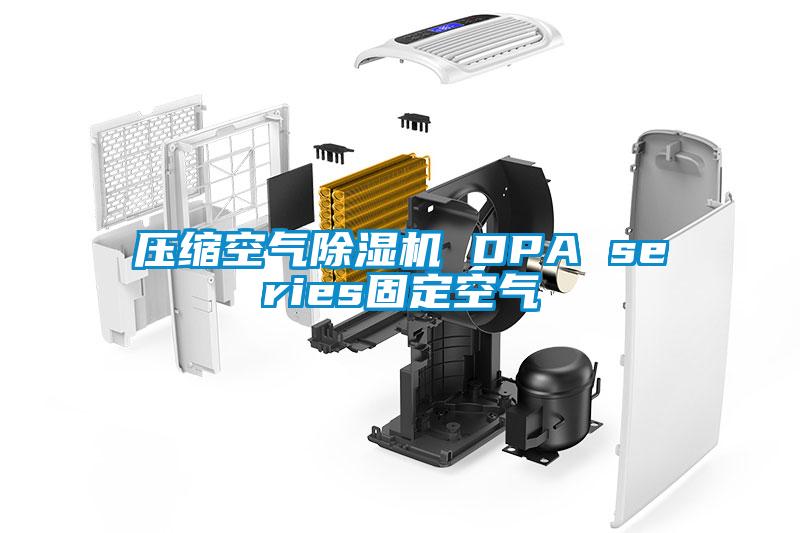 壓縮空氣除濕機(jī) DPA series固定空氣