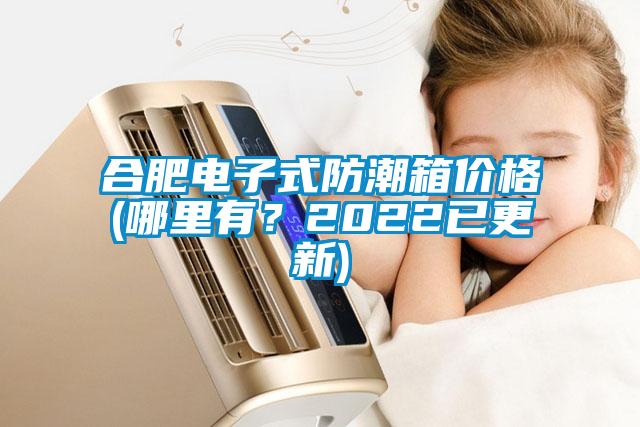 合肥電子式防潮箱價格(哪里有？2022已更新)