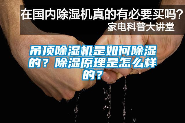 吊頂除濕機(jī)是如何除濕的？除濕原理是怎么樣的？