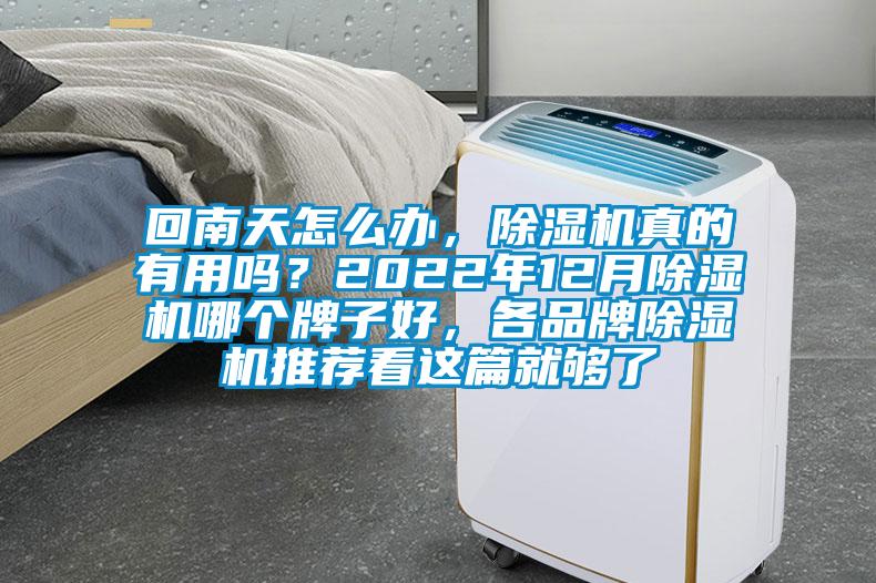 回南天怎么辦，除濕機真的有用嗎？2022年12月除濕機哪個牌子好，各品牌除濕機推薦看這篇就夠了